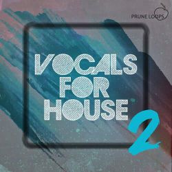 我的歌声里 vs 你好不好(TINO VinaHouse Rmx)