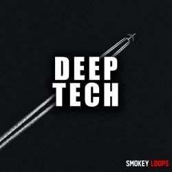 任夏 - 真心很贵别逢人就给(Dj肥猫 Electro Rmx)