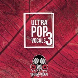 99K金-Tu Vivi Nellaria（Dj小罗 Electro Mix)
