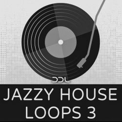 王力宏 - 我们的歌(DjZr ProgHouse Rmx)
