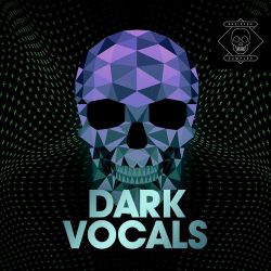 蔡国权 - 不装饰你的梦 ( DJ小嘉 2K21  Electro Mix )