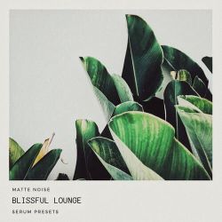 王恩信Est 二胖u - 你走以后(DjAn Dj苏辛 ProgHouse Rmx)