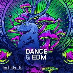 ဇာနည် - ရှင်းပြခွင့်ပေးပါ(Dj安瑾 ProgHouse Rmx缅语男)