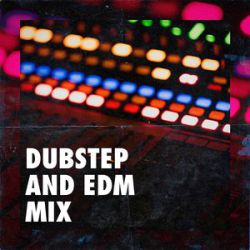 卢卢快闭嘴 阿彻 - 心之火(Dj炮哥 ProgHouse Rmx)