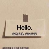 Dj火火