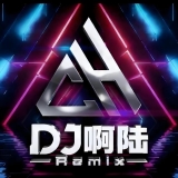 Dj啊陆