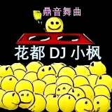 花都Dj小枫
