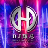 Dj辉总