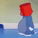 Dj汤姆